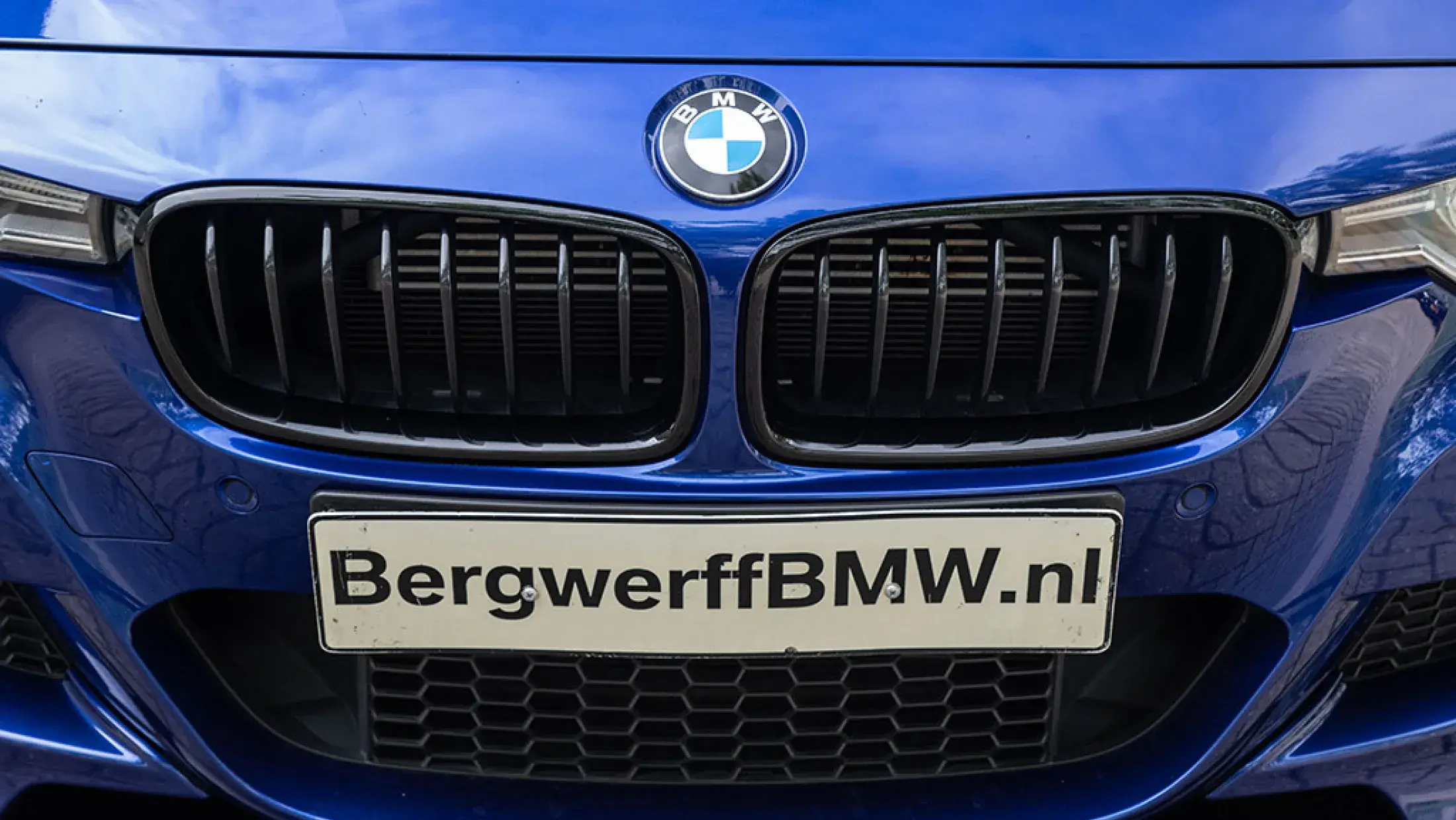 BMW 330e M Performance Individual San Marino Blauw Dakota schwarz leder Bergwerff Gorinchem