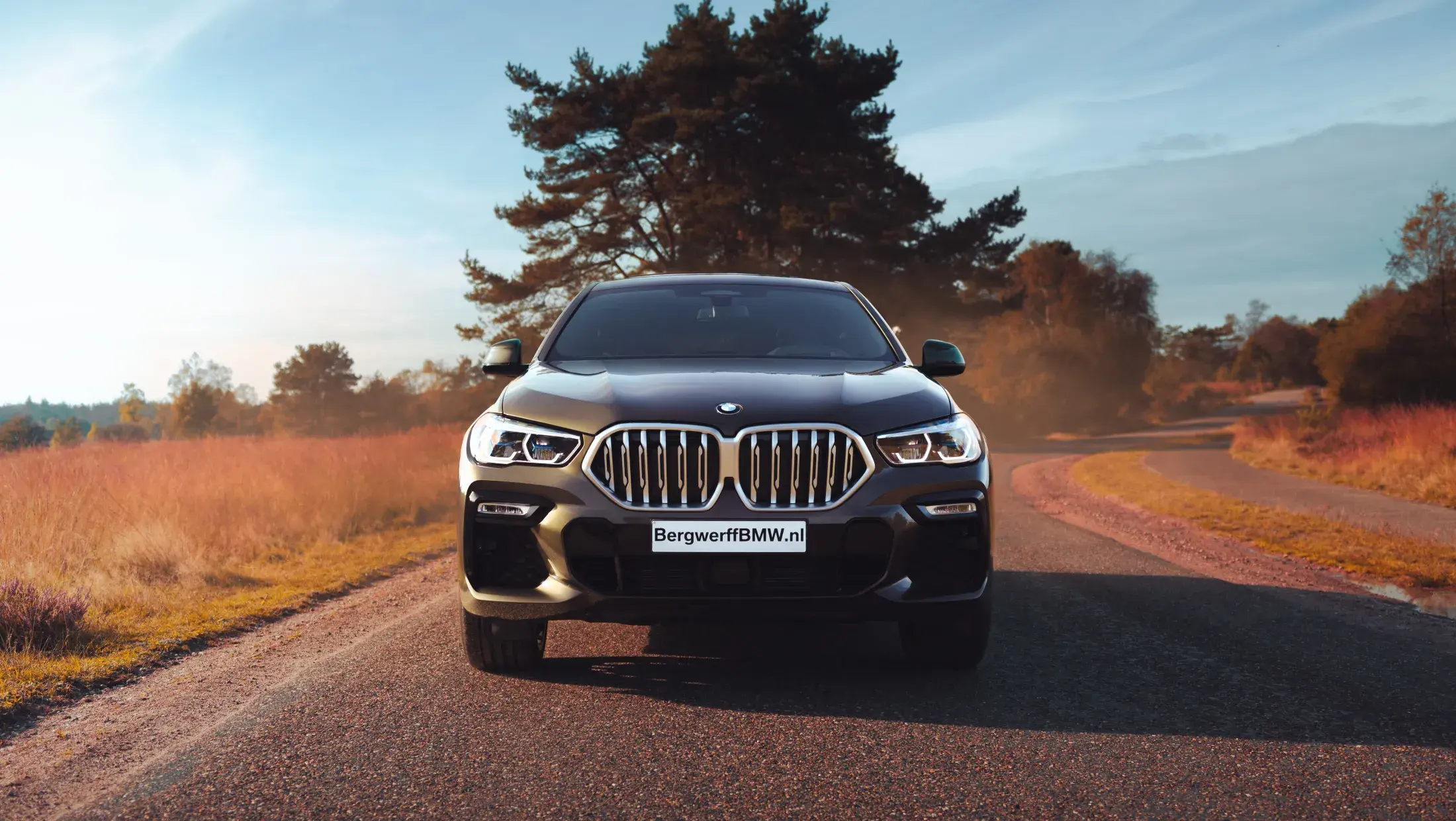 BMW X6 xDrive40i Manhattan Metallic