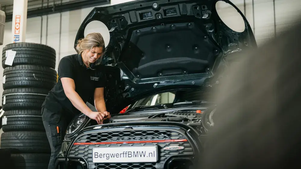 BMW en MINI Service Inclusive Bergwerff Gorinchem